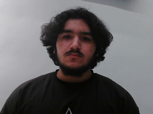 Face Image